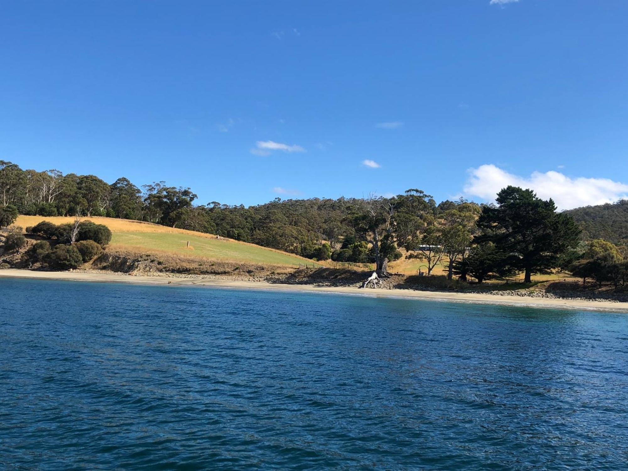The Woolshed And Farmhouse Blue, Bruny Island Barnes Bay Dış mekan fotoğraf